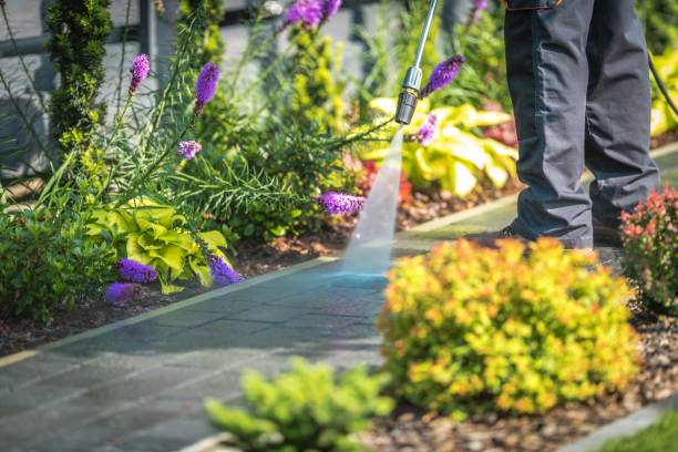 Best Patio and Deck Pressure Washing  in Monument, CO